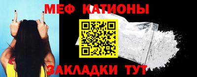 индика Гатчина