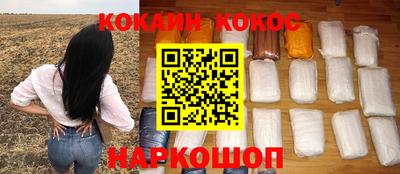индика Гатчина
