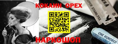 индика Гатчина