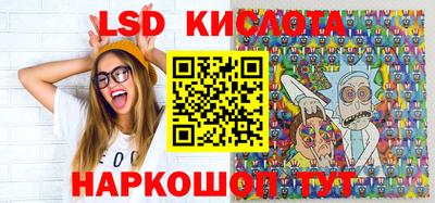 индика Гатчина