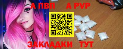 индика Гатчина
