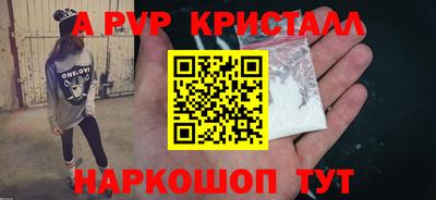 индика Гатчина