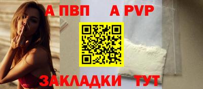 индика Гатчина